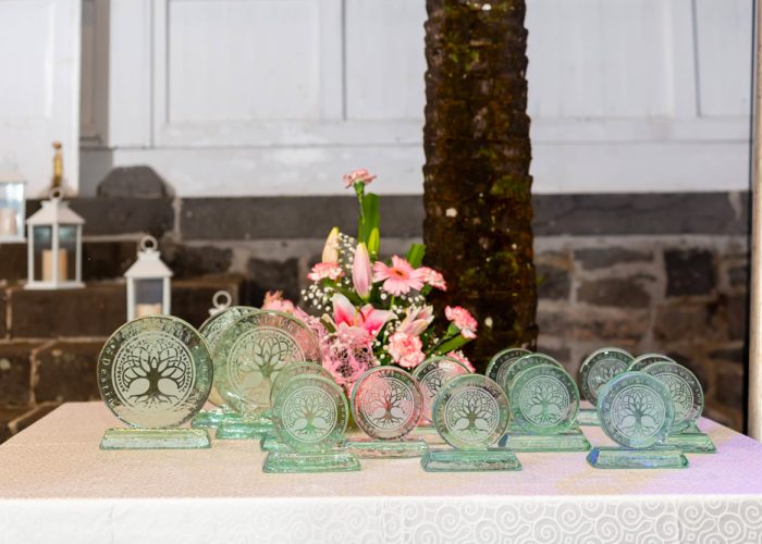 310120---EOY-Emotion-79